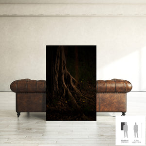 MEANDERING SOUL VII · Photographie