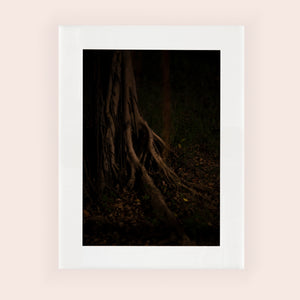 MEANDERING SOUL VII · Photographie