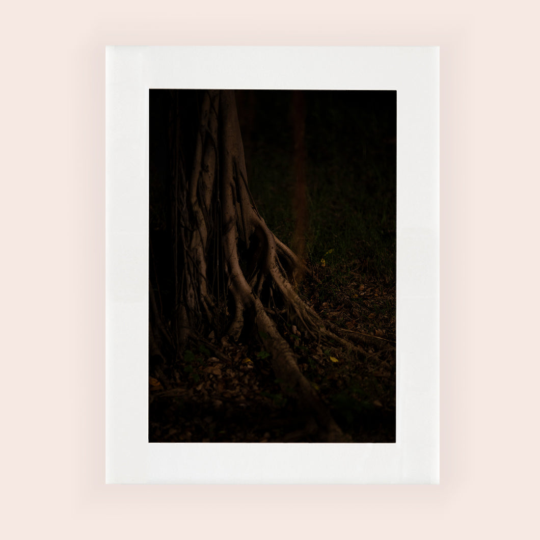 MEANDERING SOUL VII · Reproducción