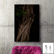 Charger l&#39;image dans la galerie, MEANDERING SOUL II · Photographie
