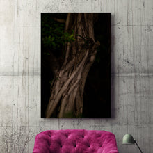 Load image into Gallery viewer, MEANDERING SOUL II · Original photo
