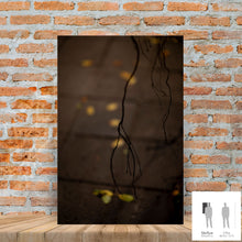 Charger l&#39;image dans la galerie, MEANDERING SOUL VIII · Photographie
