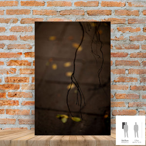 MEANDERING SOUL VIII · Photographie