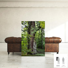 Charger l&#39;image dans la galerie, SLOW LIFE I · Photographie
