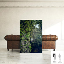 Charger l&#39;image dans la galerie, SLOW LIFE II · Photographie
