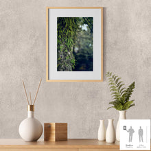 Charger l&#39;image dans la galerie, SLOW LIFE II · Photographie
