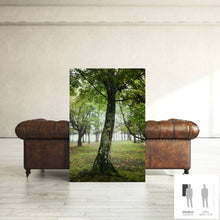 Charger l&#39;image dans la galerie, SLOW LIFE V · Photographie
