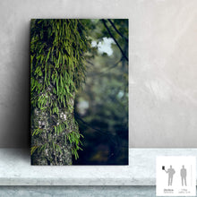 Charger l&#39;image dans la galerie, SLOW LIFE II · Photographie
