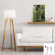 Charger l&#39;image dans la galerie, SLOW LIFE I · Photographie
