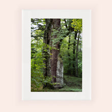 Charger l&#39;image dans la galerie, SLOW LIFE I · Photographie
