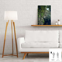 Charger l&#39;image dans la galerie, SLOW LIFE II · Photographie
