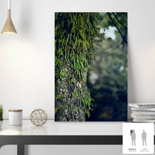 Charger l&#39;image dans la galerie, SLOW LIFE II · Photographie
