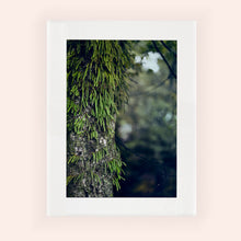 Charger l&#39;image dans la galerie, SLOW LIFE II · Photographie
