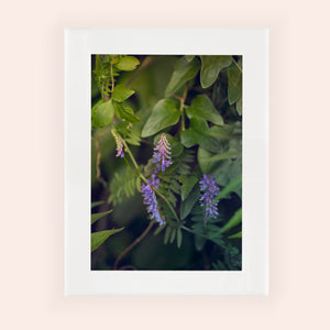 SLOW LIFE III · Photographie