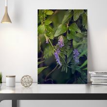 Load image into Gallery viewer, SLOW LIFE I · Original photo
