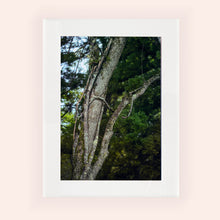 Cargar imagen en el visor de la galería, SLOW LIFE IV · Fotografía
