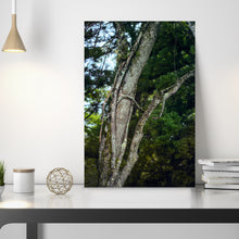 Cargar imagen en el visor de la galería, SLOW LIFE I · Foto original
