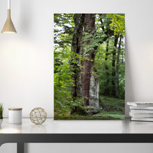Load image into Gallery viewer, SLOW LIFE I · Original photo
