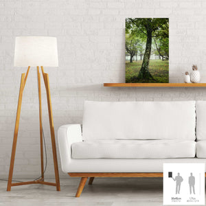 SLOW LIFE V · Photographie