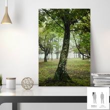 Charger l&#39;image dans la galerie, SLOW LIFE V · Photographie
