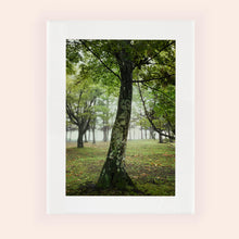 Charger l&#39;image dans la galerie, SLOW LIFE V · Photographie
