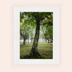 SLOW LIFE V · Photographie