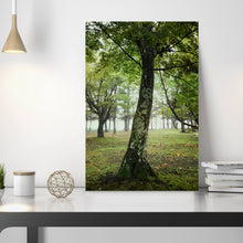 Cargar imagen en el visor de la galería, SLOW LIFE I · Foto original
