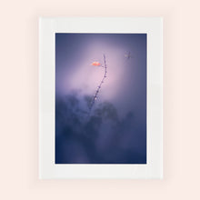 Charger l&#39;image dans la galerie, IMPERMANENCE II · Photographie
