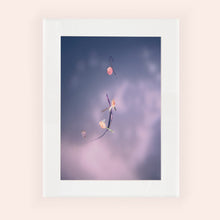 Load image into Gallery viewer, IMPERMANENCE III · Photography
