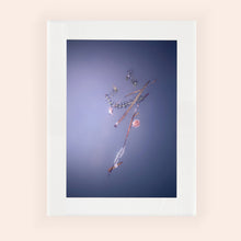 Load image into Gallery viewer, IMPERMANENCE V · Photography
