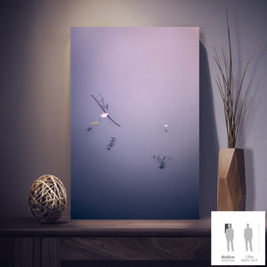 IMPERMANENCE VIII · Photographie