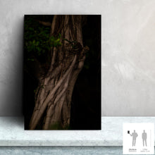 Charger l&#39;image dans la galerie, MEANDERING SOUL II · Photographie
