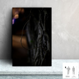 MEANDERING SOUL IV · Photography