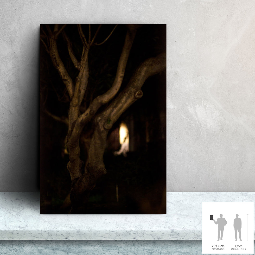 MEANDERING SOUL VI · Original photo