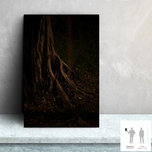 MEANDERING SOUL VII · Photographie