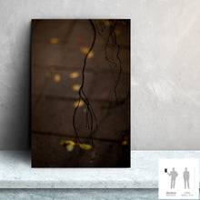 Charger l&#39;image dans la galerie, MEANDERING SOUL VIII · Photographie
