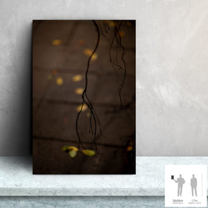 MEANDERING SOUL VIII · Photographie
