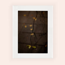 Charger l&#39;image dans la galerie, MEANDERING SOUL VIII · Photographie
