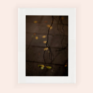MEANDERING SOUL VIII · Photographie