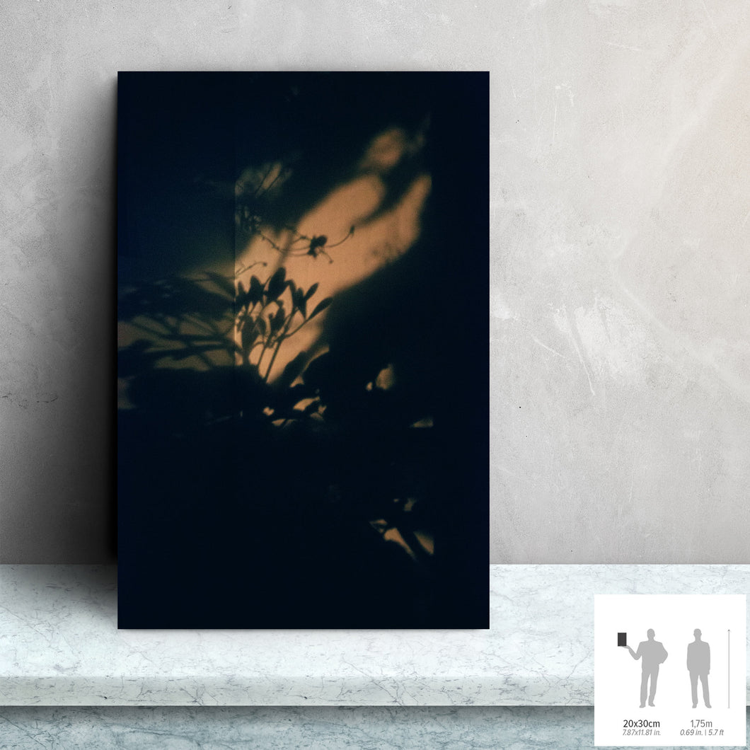 UNDERWORLD II · Foto original